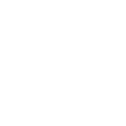 Credit card Icon